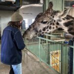 Bella Ramsey Instagram – The first time I met Nabo. We fell in love.

#thelastofus @thelastofus @hbomax 🦒