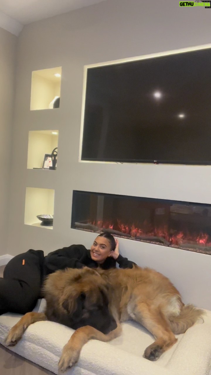 Belle Hassan Instagram - Finally got rid of that stinky old thing ๐ new bed for kilo and he loves it! โค๏ธ Also Iโm fully aware the quality of this video isnโt the best ๐ my camera wasnโt charged and I was way to excited to wait ๐ so weโre just have to deal with it ๐คฆ๐ปโโ๏ธIโm so wholesome now I love it ๐ Share to someone who needs to get a new dog bed ๐๐ #dogbed #giantbreed #xldogbed #leonberger #dogmum #dogmumlife #unboxing