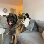 Belle Hassan Instagram - Happy birthday baby boy 🐾