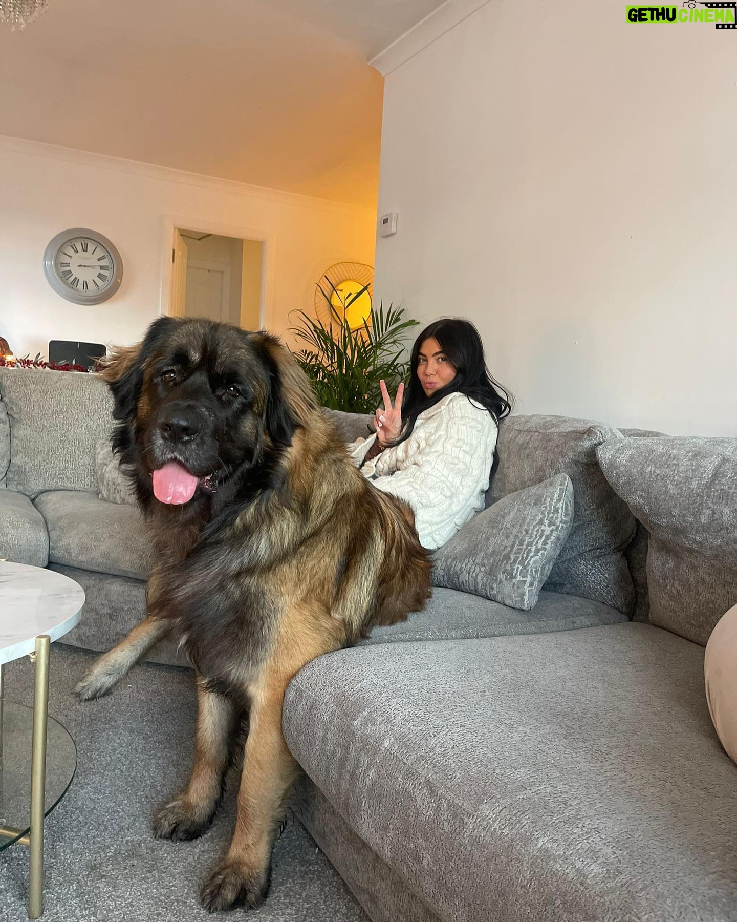 Belle Hassan Instagram - Happy birthday baby boy 🐾