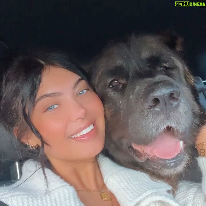 Belle Hassan Instagram - Happy birthday baby boy 🐾
