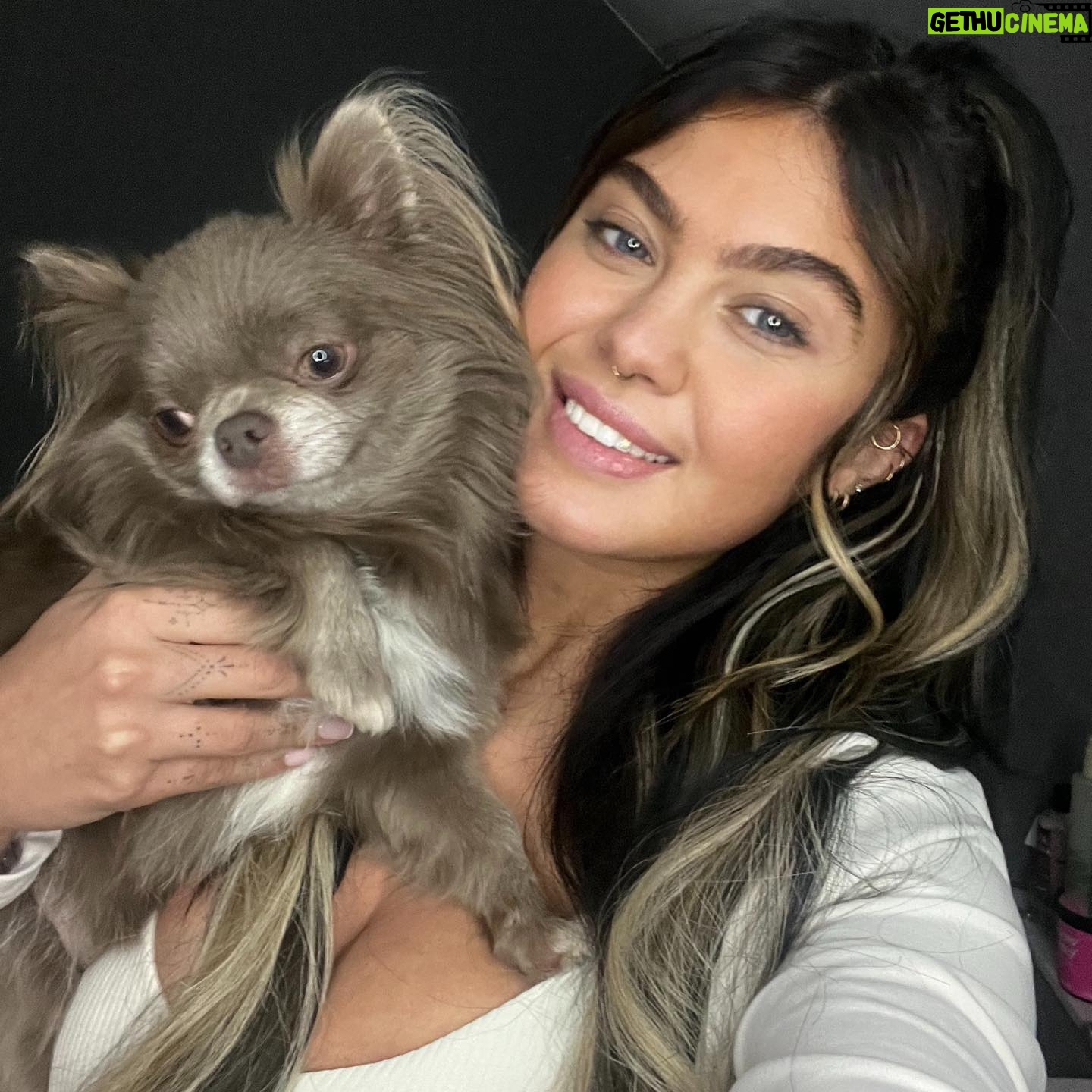 Belle Hassan Instagram - Happy birthday my baby boy 🤍🐾