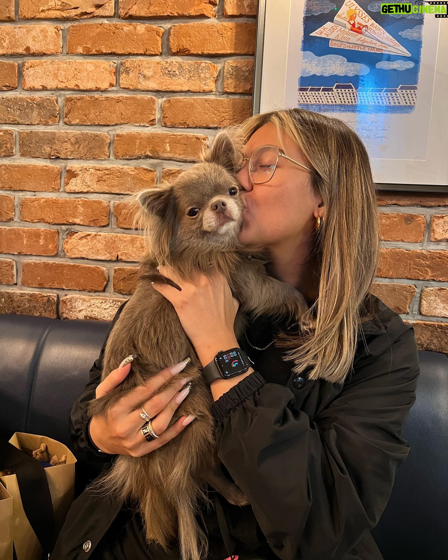 Belle Hassan Instagram - Happy birthday my baby boy 🤍🐾