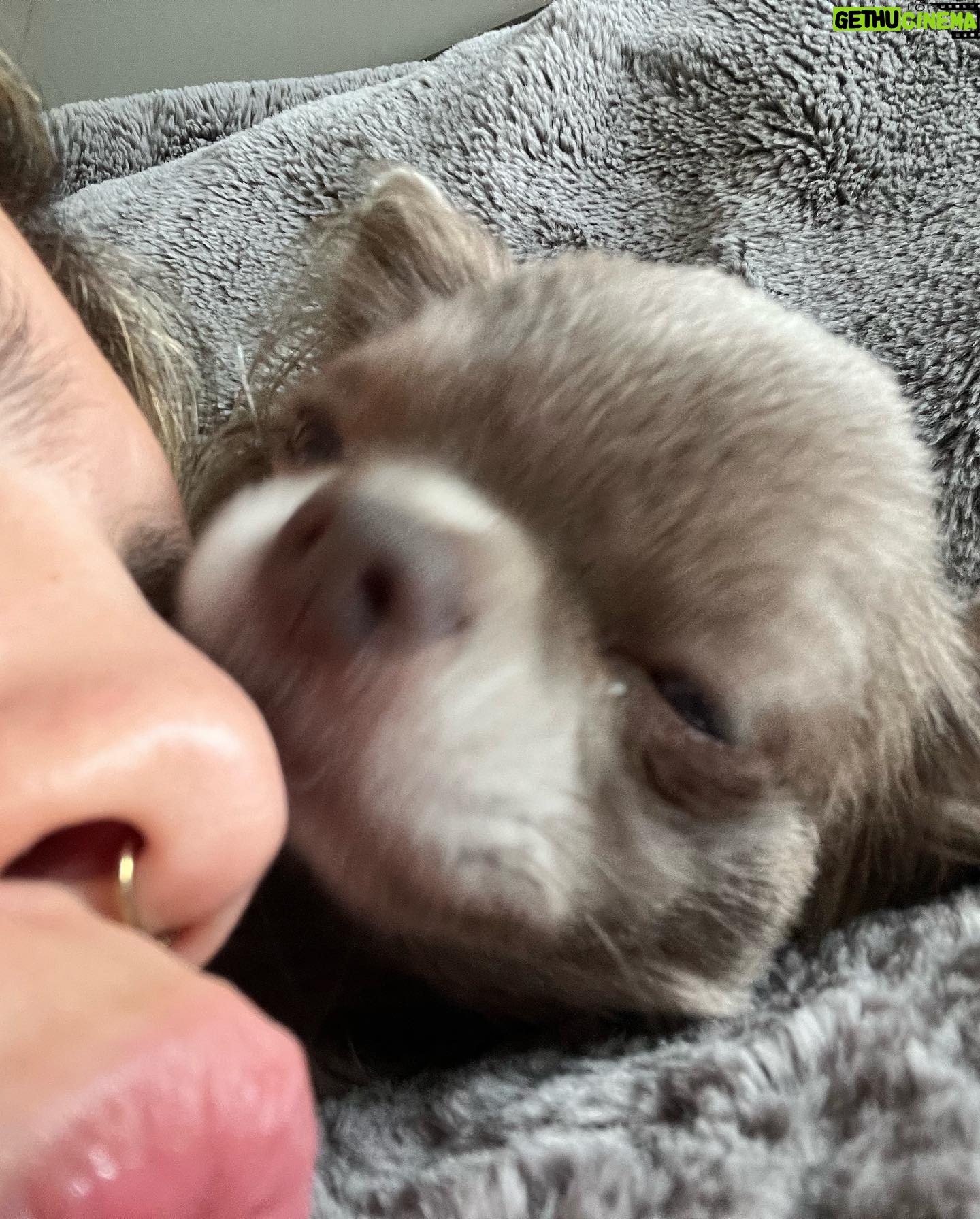 Belle Hassan Instagram - Happy birthday my baby boy 🤍🐾