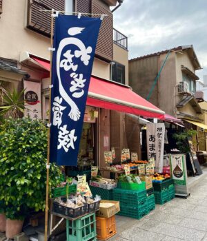 Belle Longwell Instagram - lost in japan
