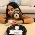 Beren Gökyıldız Instagram - Jennie 1 yaşında❤️❤️❤️ İyiki doğmuş jennie🎊🎀💘 🐶 #morkie @elityavru