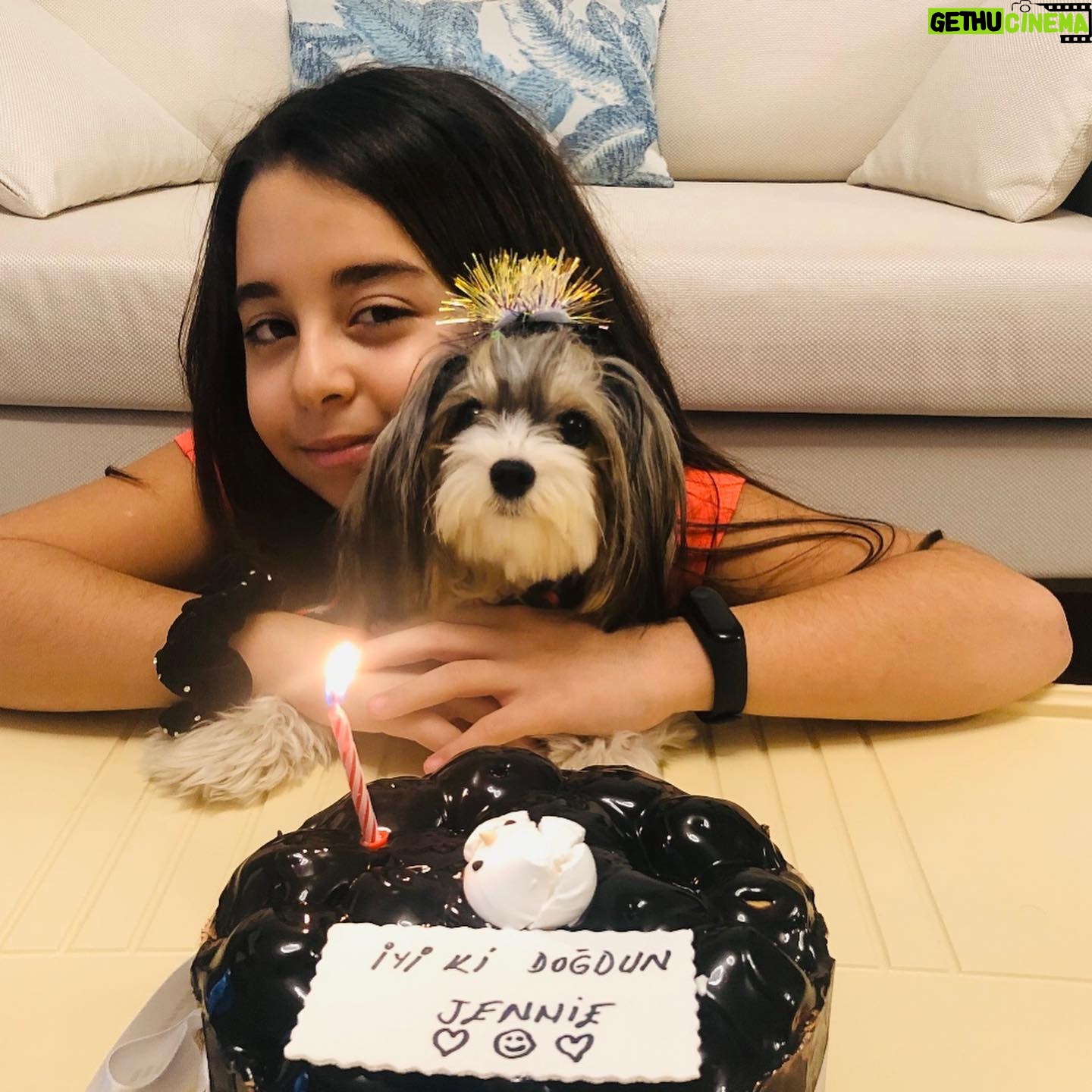 Beren Gökyıldız - 76.2K Likes - Jennie 1 yaşında❤️❤️❤️ İyiki doğmuş jennie🎊🎀💘 🐶 #morkie @elityavru