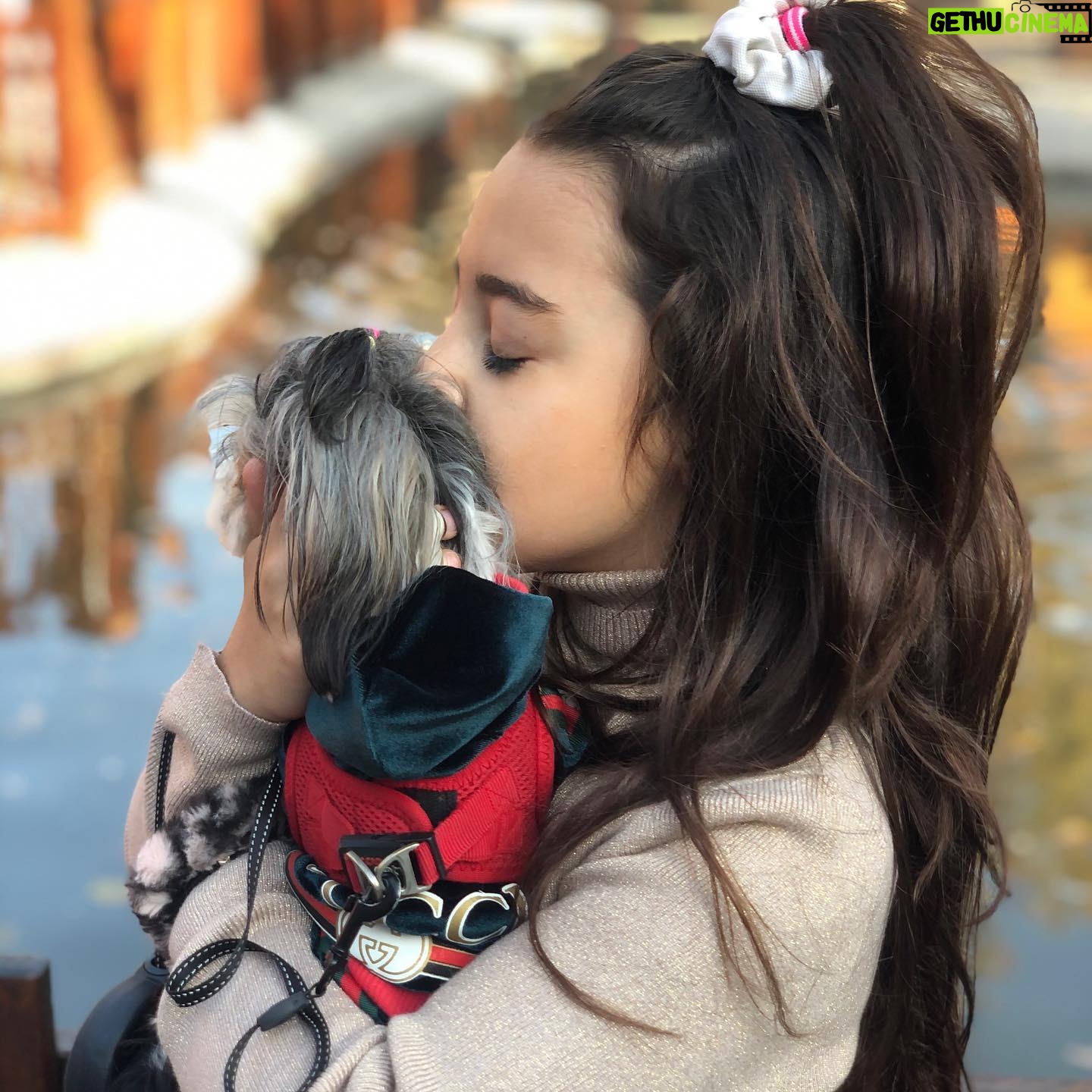 Beren Gökyıldız - 62.7K Likes - Jennie💕Beren #morkie