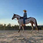 Beth Behrs Instagram - Heart horse. #rescue #rescuehorse #whorescuedwho