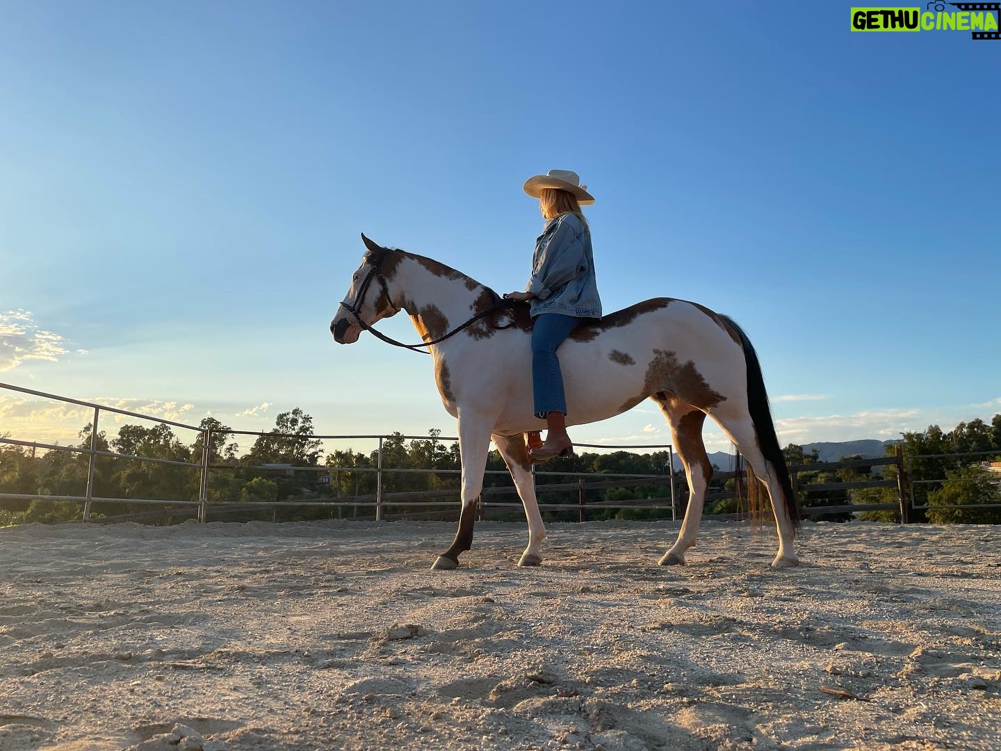 Beth Behrs Instagram - Heart horse. #rescue #rescuehorse #whorescuedwho