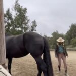 Beth Behrs Instagram - Kickin poop out of the arena. Horse peeps get it.