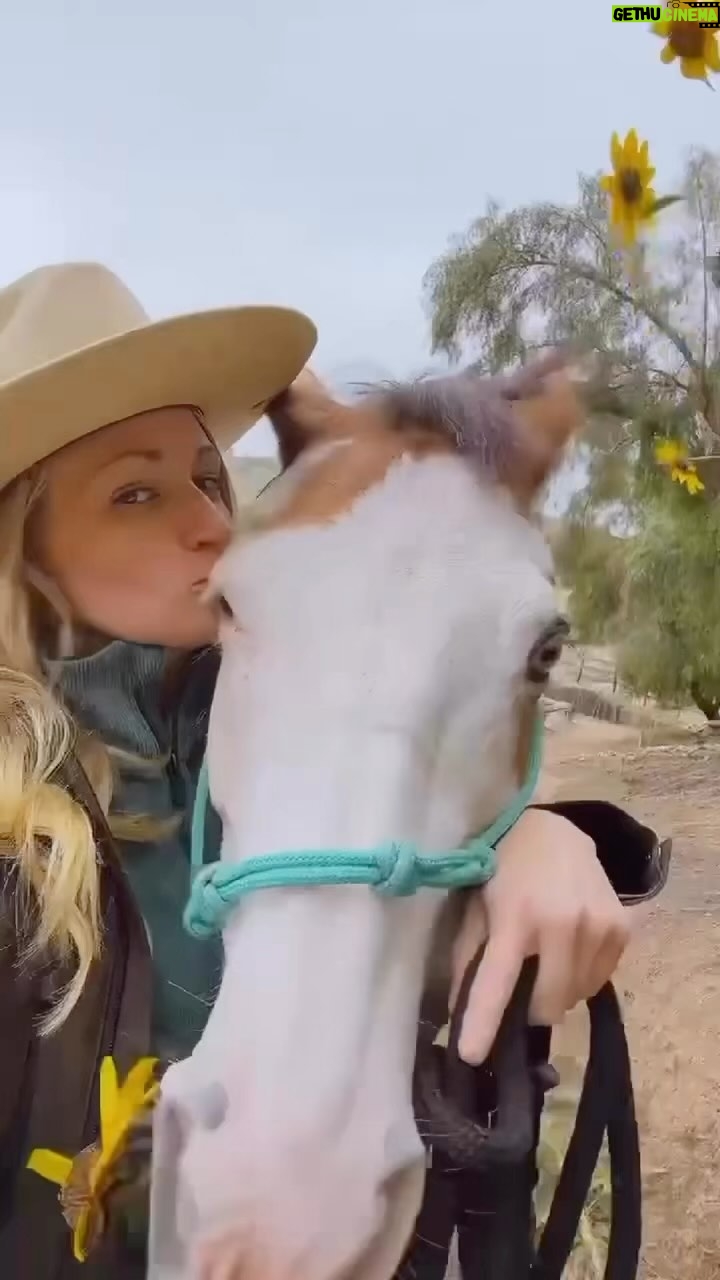 Beth Behrs Instagram - 😆 "I'm definitely YOUR best friend "- Belle #rescuehorse