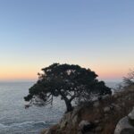 Beth Behrs Instagram - NorCal part deaux with my @courtneymdtravel