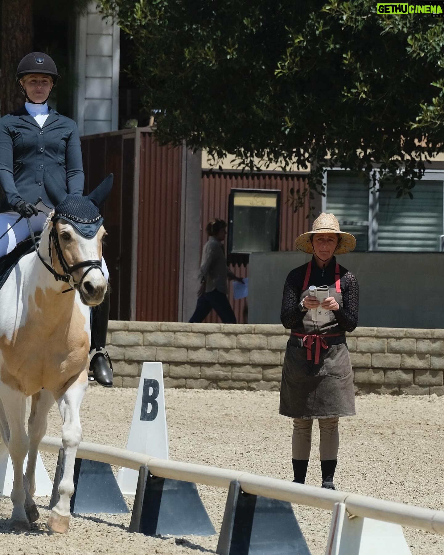 Beth Behrs Instagram - Twas a wonderful day for a show and a winner winner chicken dinner blue ribbon! 🥇🥇🥇thank you to my incredible barn family @dressagecanbefun @sydneyanne_dressagelife @andsewitgrows @jessielochrie_ and especially to this #rescuehorse Nutter Butter who has changed my life and captured my heart! #dressage #dressagehorse #equestrian #horsegirl #horse #equestrianlife