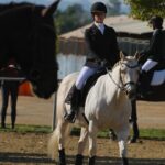 Beth Behrs Instagram – From a kill pen awaiting slaughter in Texas… to blue ribbons! Nutter Butter and I both made our DEBUT in the show ring together yesterday and it was magical. Thank you to @jessielochrie_ and @onceuponahorse for turning this Cowgirl English and introducing me to the incredible @dressagecanbefun – who not only saved Nutter Butter’s life and turned him into a superstar, but also made this Cowgirl fall madly in love with #dressage! I am so grateful to everyone for making my first show, and Nutter’s, so incredibly memorable. See? #RescueHorses can win blue ribbons! #whorescuedwho

#horse #horsegirl #equestrian #equestrianlifestyle