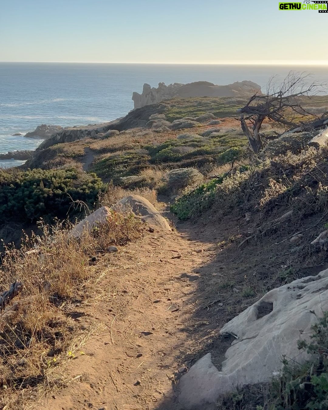 Beth Behrs Instagram - -Grab your bestie @courtneymdtravel , her amazing pup and some great books ✔️ -head into nature ✔️ -eat, sleep, read, hike, repeat ✔️ Dreamy beginning of fall....🌾🍁🍂