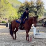 Beth Behrs Instagram - Loved learning the sport of #workingequitation ! Thanks @fred_bernardino you're amazing and I can't believe you entrusted this comedian with a "gorracha" ! Can't wait to learn more!! Thanks @shadowhillsequestrian for hosting us!! And for letting me borrow your perfect boy "Tiger"!