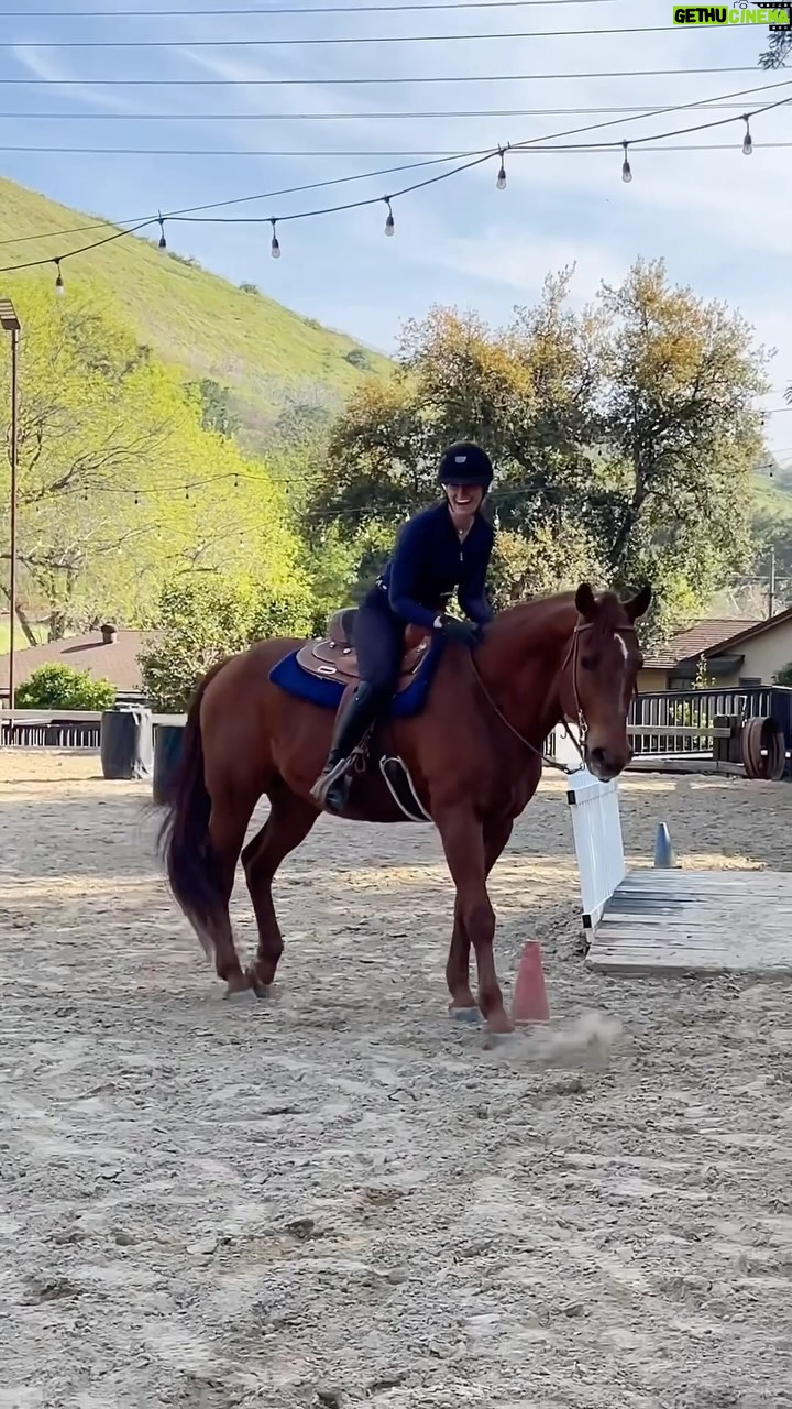 Beth Behrs Instagram - Loved learning the sport of #workingequitation ! Thanks @fred_bernardino you're amazing and I can't believe you entrusted this comedian with a "gorracha" ! Can't wait to learn more!! Thanks @shadowhillsequestrian for hosting us!! And for letting me borrow your perfect boy "Tiger"!