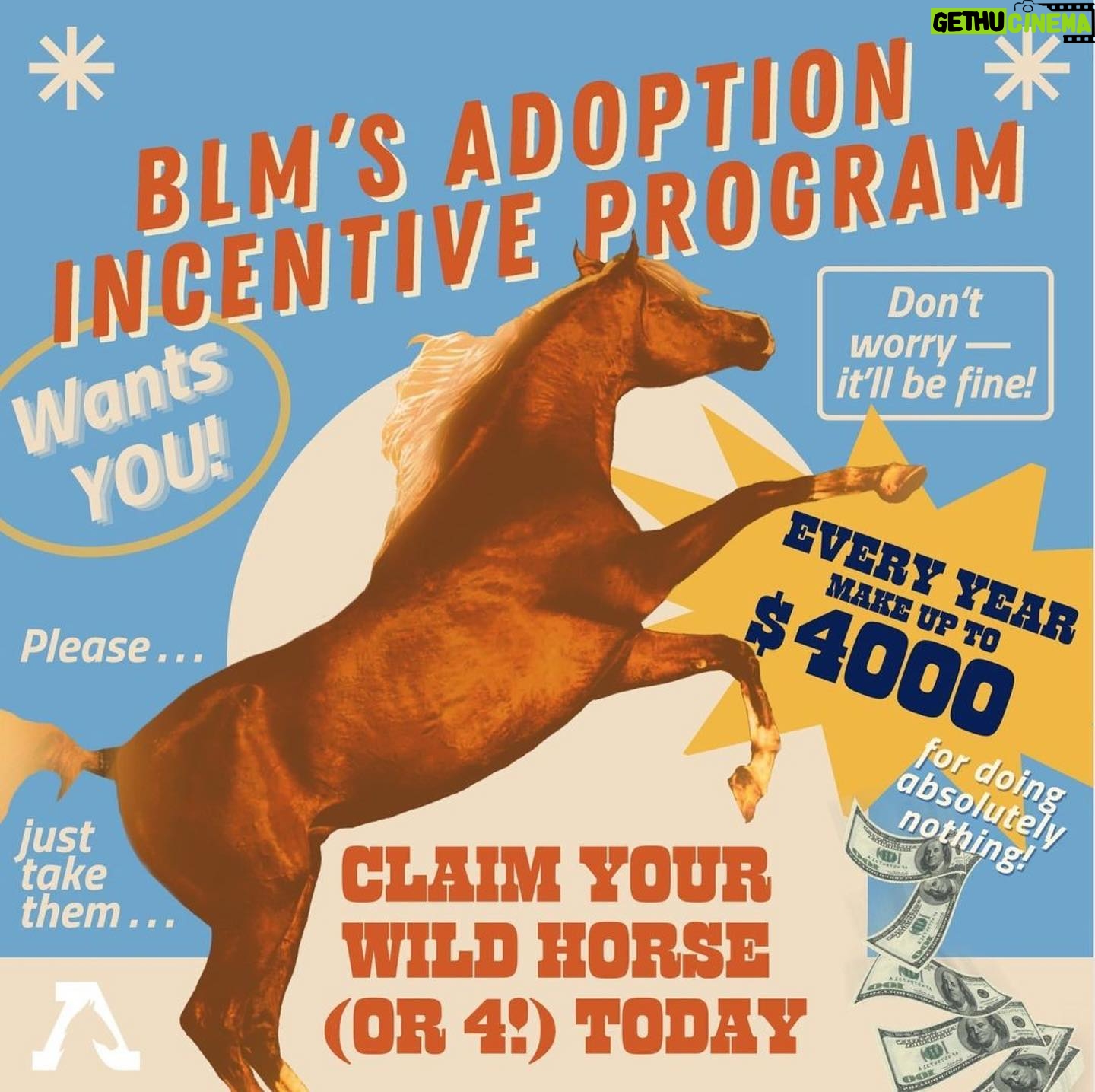 Beth Behrs Instagram - π΄πSwipe through to learn the truth about how The Bureau of Land Management's Adoption Incentive Program is impacting wild horses and burros. ππ Our investigation reveals a dire misuse of the $1,000 cash incentive, as these horses are being sent into the pipeline for slaughter as soon as their adopters receive the total reward. Let's stand together to protect the symbol of freedom and perseverance that these wild horses represent. π½ Repost: @freewildhorses #SaveWildHorses #KeepWildHorsesWild #ProtectOurIcons #StopTheSlaughter #WildHorseAdvocacy