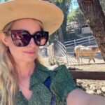 Beth Behrs Instagram – 🙋🏼‍♀️🐎💛