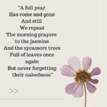 Beth Behrs Instagram – New @substackinc DEAR EGG poem for my daughter after a year together. Link in bio!💛🫶🏻