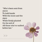 Beth Behrs Instagram – New @substackinc DEAR EGG poem for my daughter after a year together. Link in bio!💛🫶🏻