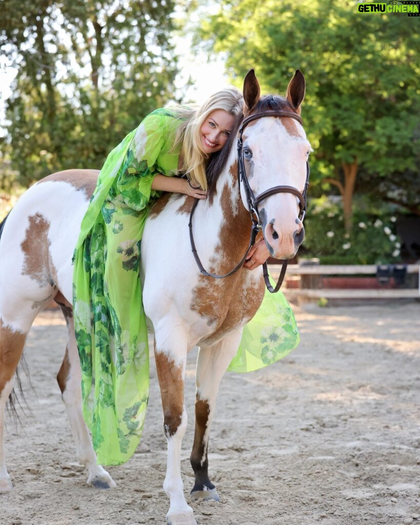 Beth Behrs Instagram - My greatest healer. My greatest teacher. #equinetherapy #rescuehorse 📸: @white.star.ranch @josephcassell1 @hairbyaviva @andremakeup