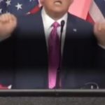 Bette Midler Instagram - Trump is shilling something else to pay his ever growing legal fees and the discriminating MAGA crowd is thrilled! @meidastouch