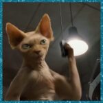 Bette Midler Instagram – Cats & Dogs: The Revenge of Kitty Galore (2010)