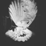 Bette Midler Instagram -
