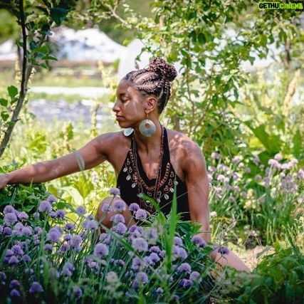 Bette Midler Instagram - Regenerative farmer Leah Penniman of @soulfirefarm has an incredible book- Farming While Black. And this week only @nyrp is giving away a copy! Click the link in my bio for all the details.