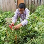Bette Midler Instagram - Food is essential, and so is growing it. This #GivingTuesdayNow, I'm asking you to help sustain food production in our @NYRP gardens. Can you give $10 today to help a family grow their own fruits and vegetables this season? https://www.nyrp.org/givingtuesdaynow