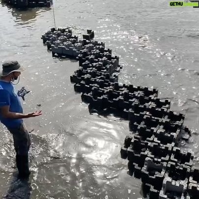 Bette Midler Instagram - 500 feet of oyster castles to protect 5 acres of gorgeous gardens and native forests in Upper Manhattan. THIS is the NYRP Living Shoreline Project – and it has just begun! See it all @NYRP