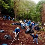 Bette Midler Instagram - Calling all #NewYorkers! Trash is piling up in NYC Parks because they're underfunded, and there's just not enough staff to help.  Our parks need your help. What's your park? How littered is it? Are they seeking volunteers? Start there.  I started @nyrp 25 years ago picking up garbage in Fort Washington Park, and we a joining forces with so many to keep cleaning and greening. We could really use your help! If you're in northern Manhattan and can help us at Highbridge and Sherman Creek Parks, fill out this form and we'll be in touch soon with next steps (copy and paste): https://form.jotform.com/202406076333043 And I THANK YOU!! Muah!!