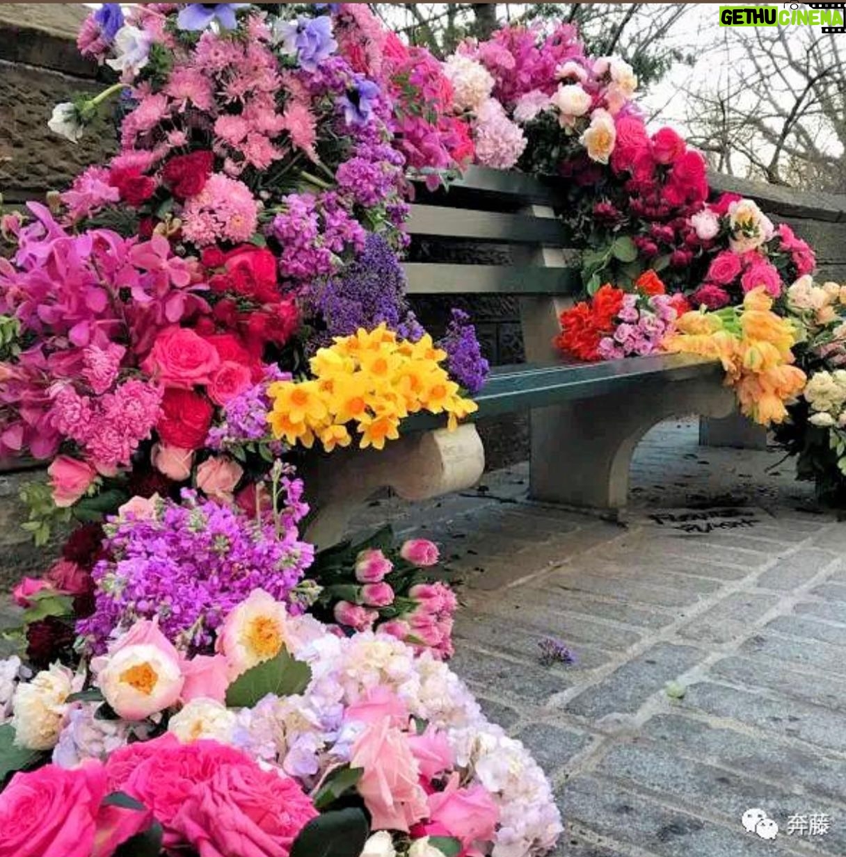 Bette Midler Instagram - Lewis Miller Designs