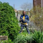 Bette Midler Instagram - In time for #WorldEnvironmentDay, @NYRP is hosting a Zoom webinar on why cities need green infrastructure like public parks and gardens. Join on Wed June 3 and learn more here: nyrp.org/greeninfrastructure
