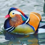 Bette Midler Instagram - This duck’s contour and highlight, tho! THE TALE OF THE MANDARIN DUCK... Just ONE WEEK until my new picture book is out! Mark your calendars and pre-order today. Link in bio.