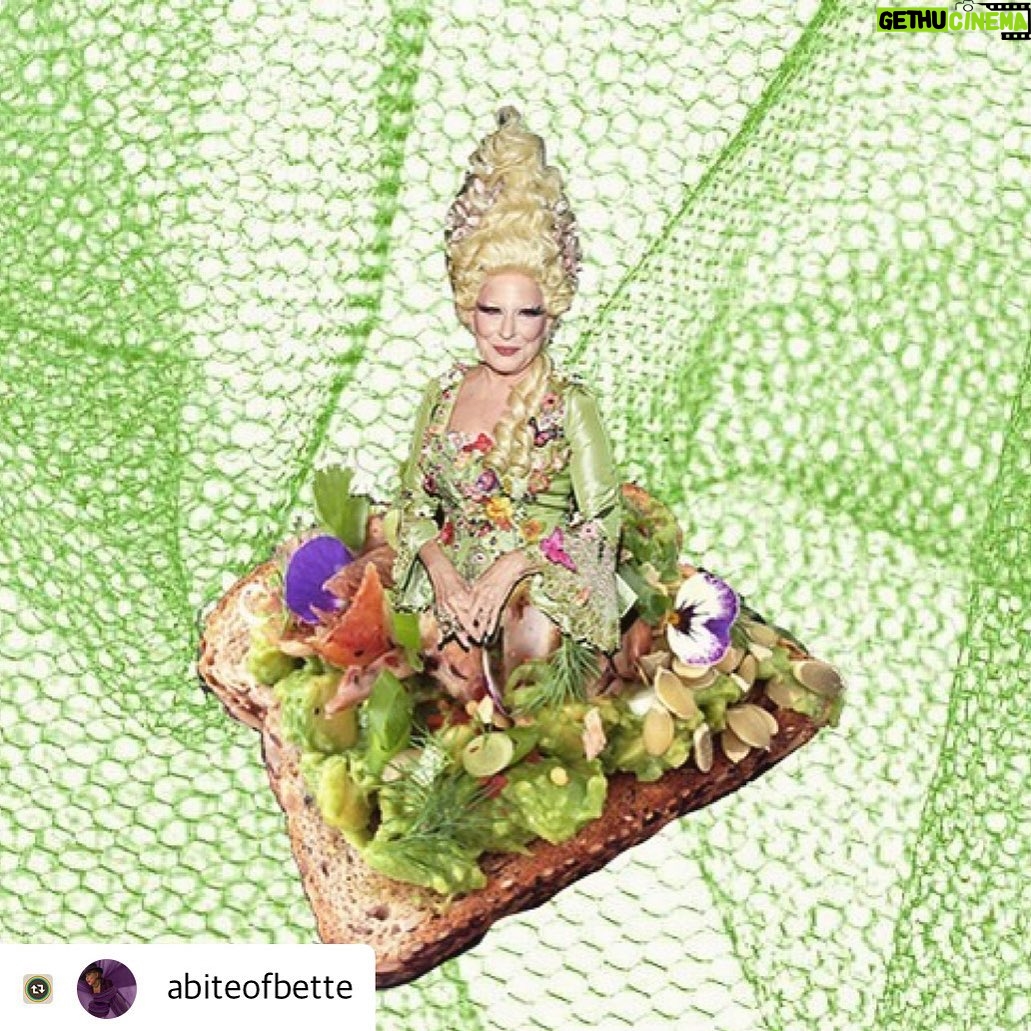 Bette Midler Instagram - GENIUS!! I hope you all follow @abiteofbette. This account really takes the cake....literally!!!