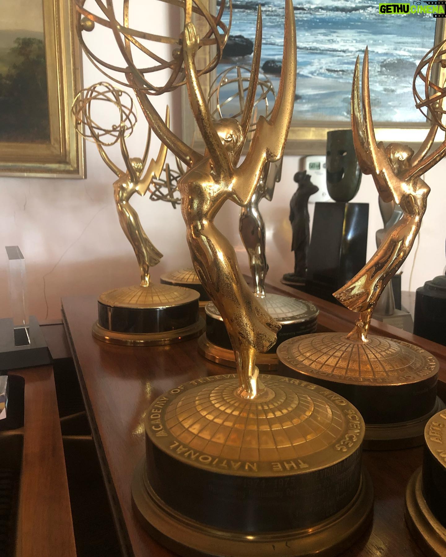 Betty White Instagram - The sun is shining on this beautiful Thursday… so here are some shiny and beautiful things to enjoy :)