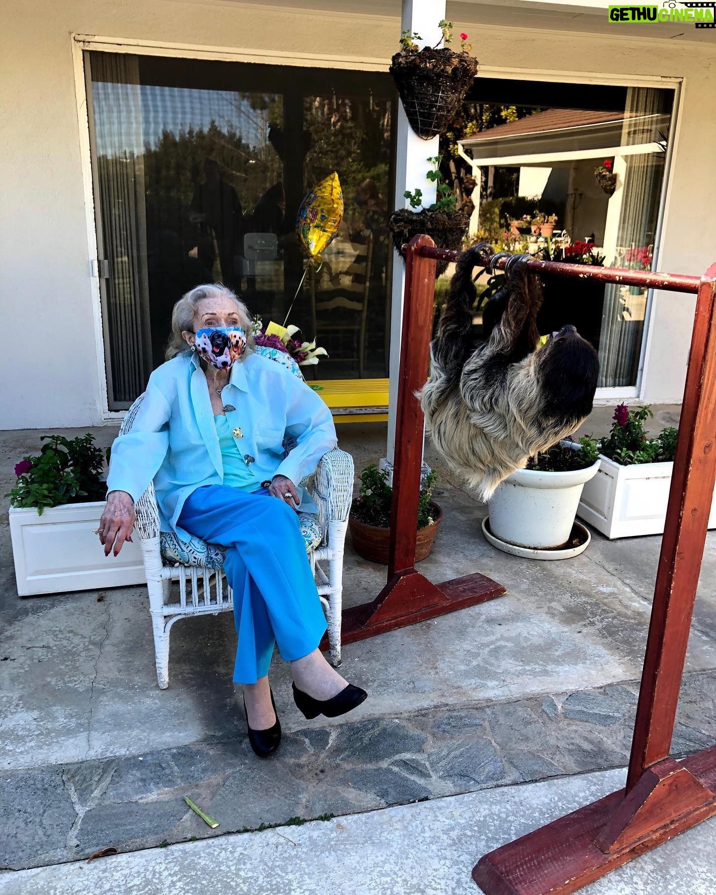 Betty White - 144.5K Likes - Happy International Sloth Day!!! Betty’s 99th Birthday occurred during the pandemic so we couldn’t do a big celebration, but our friends Wildlife Learning Center generously offered to supply a surprise guest Sloth to mark the occasion! Betty was THRILLED!