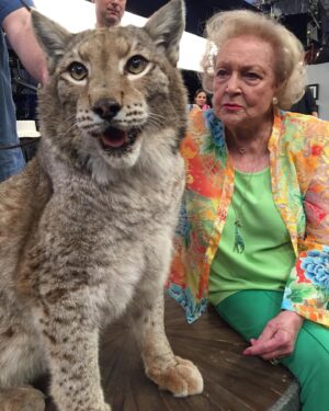 Betty White Instagram - On Betty’s 95th Birthday, she was doing her favorite thing… working!  BUT with the kind cooperation and help of the production, we managed to surprise her with a few friends on set.