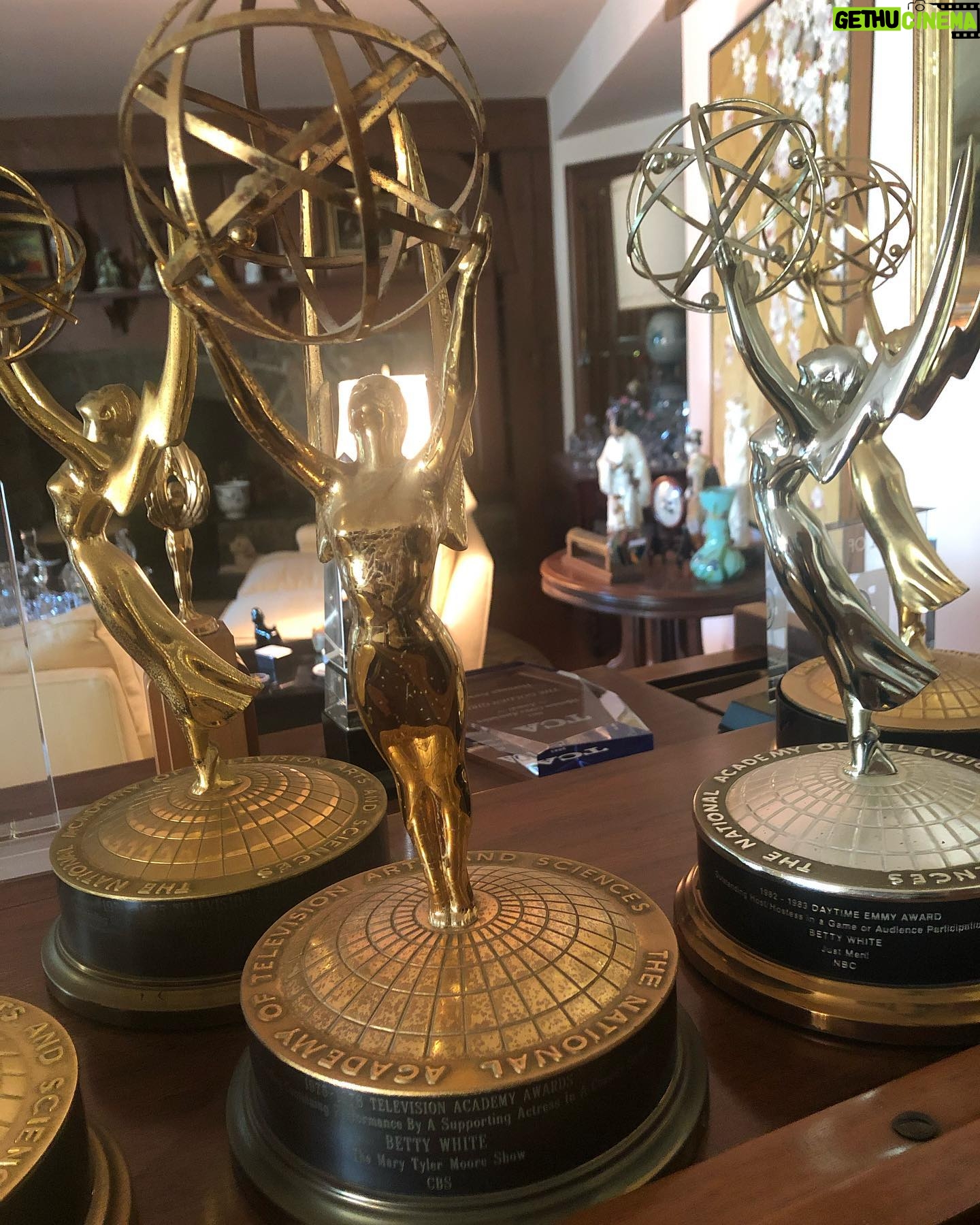 Betty White Instagram - The sun is shining on this beautiful Thursday… so here are some shiny and beautiful things to enjoy :)