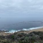 Betty White Instagram - The beach behind what was Betty’s home in Carmel. I was in Monterey over the weekend and drove through on my way home. Easy to see why she loved it sooooo much.