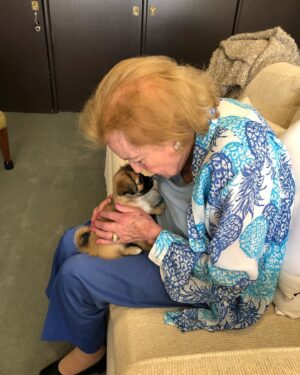 Betty White Instagram - I mentioned in a previous post that after Betty’s beloved golden retriever, Pontiac, passed away she didn’t want to bring another pet into her home because she didn’t want to eventually leave someone behind. But, that didn’t stop her from spending lots of time cuddling fur babies.  Sophie, my 2nd dog, was the official office mascot for quite awhile.  You’ll see how tiring a day can be when you spend it being kissed by Betty White… ❤️🐶