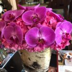 Betty White Instagram - Betty LOVED flowers. She absolutely loved them and got so excited anytime anyone sent them to her. On this Thanksgiving Eve, it makes sense to contemplate the simple pleasures - the small things we can all be grateful for and to appreciate the kindnesses shown to us by others. Happy Thanksgiving!