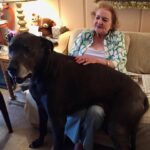 Betty White Instagram - It’s Taco Tuesday!!!! Well, Betty wasn’t big on tacos, but she loved spending time with this big girl - Bella, the loveliest of Great Danes.