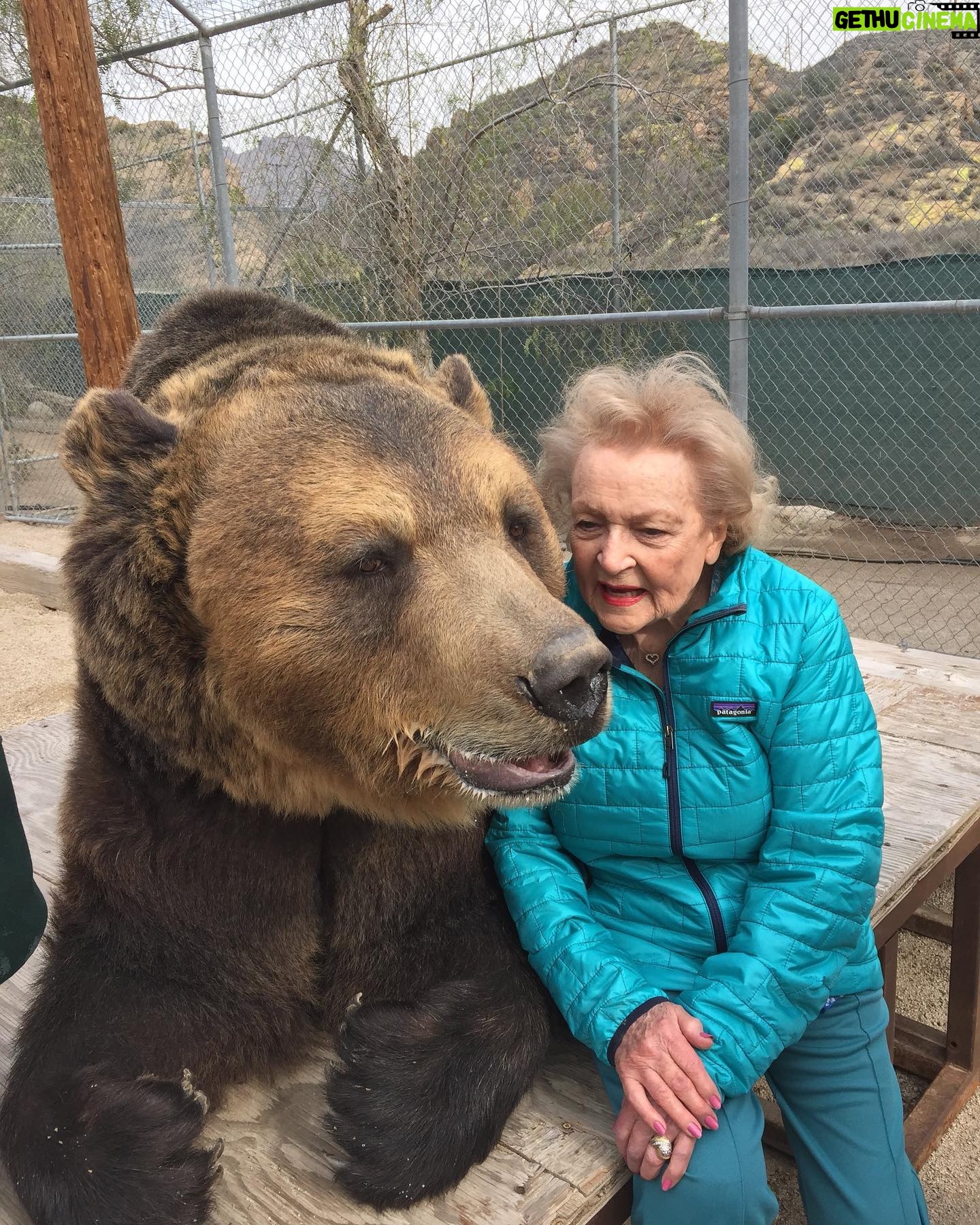 Betty White - 140.9K Likes - Returning from hiatus with a bittersweet post. This boy has been reunited with this lady, who loved him so dearly. 🌈🌈🌈 Bam Bam was just a spectacular creature. He will be dearly missed by all those who loved him. ❤️❤️