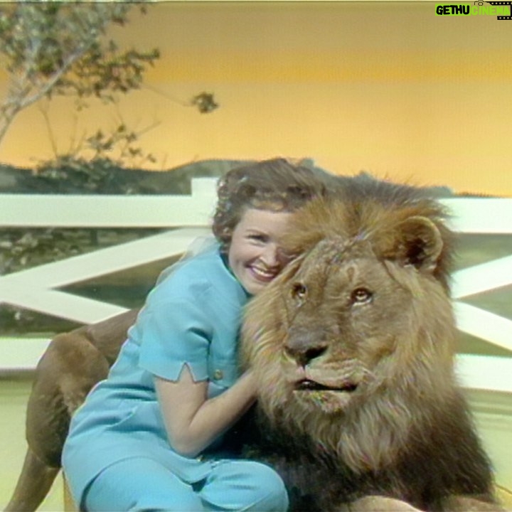 Betty White - 151.5K Likes - I am so pleased to announce the re-release of “Betty White’s Pet Set” today. I hope you enjoy watching it as much as we enjoyed making it 50 years ago. @bettywhitespetset