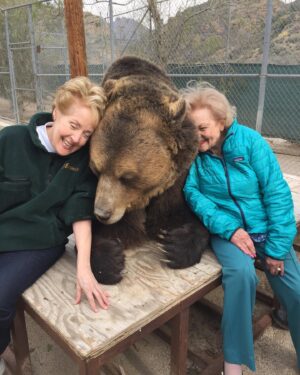 Betty White Instagram - Returning from hiatus with a bittersweet post.  This boy has been reunited with this lady, who loved him so dearly. 🌈🌈🌈 Bam Bam was just a spectacular creature.  He will be dearly missed by all those who loved him. ❤️❤️