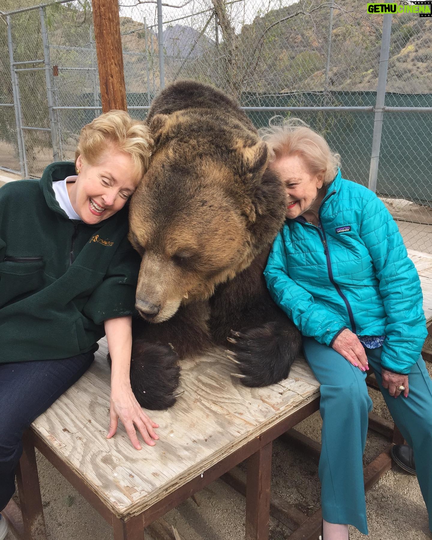 Betty White - 140.9K Likes - Returning from hiatus with a bittersweet post. This boy has been reunited with this lady, who loved him so dearly. 🌈🌈🌈 Bam Bam was just a spectacular creature. He will be dearly missed by all those who loved him. ❤️❤️